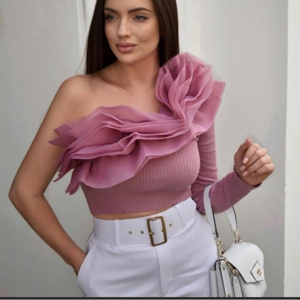 NWT ZARA BLOGGERS FAV ORGANZA RUFFLE MESH PINK TOP VOLUMINOUS